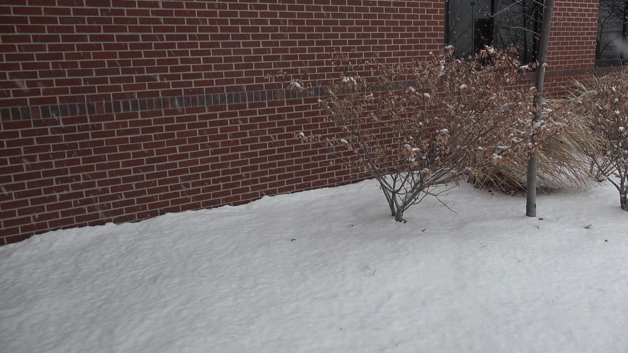 At the start of the Westminster, Colorado clip, snow covers the ground below a red brick wall with sparse shrubs and dry grass, with no visible people.