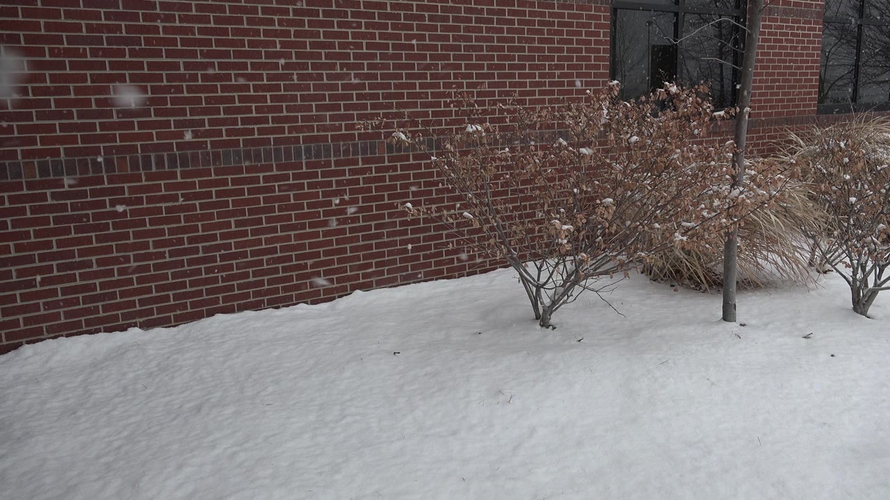 Snow blankets the ground beside a red brick exterior wall in Westminster, Colorado, with bare shrubs, dry grass, dark windows, and no visible people.