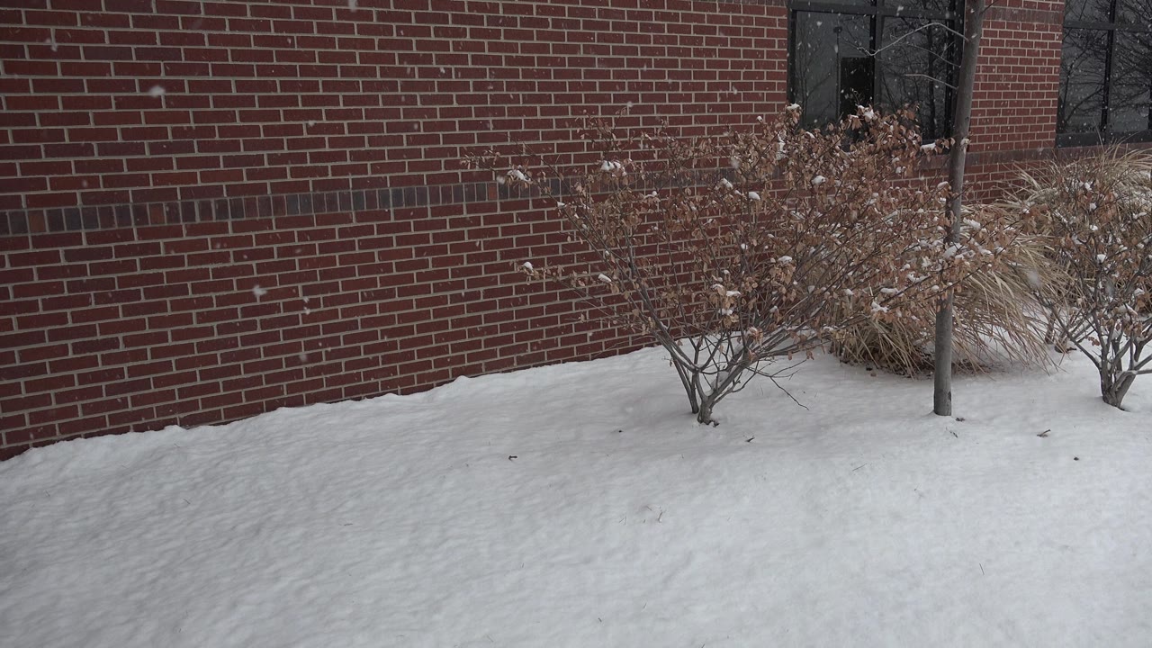 Brick wall, snow, and winter landscaping outside a house.