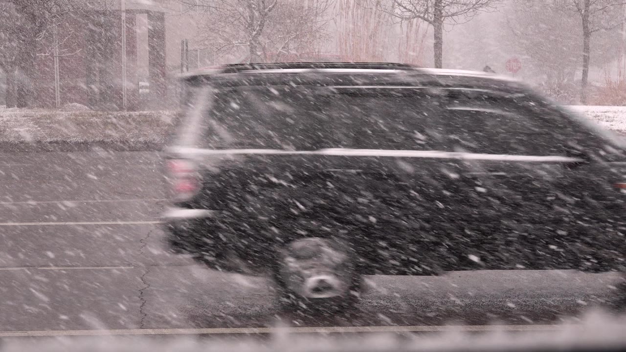 The black SUV continues across the Westminster, Colorado road as large snowflakes obscure the vehicle and soften the trees and building in the background.