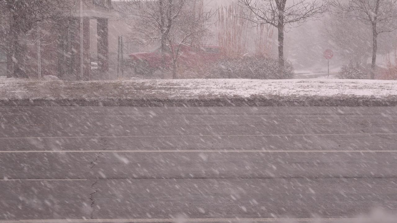 At 0:00, heavy snow crosses a Westminster, Colorado roadway with bare trees, a red car beyond the curb, and no visible people.