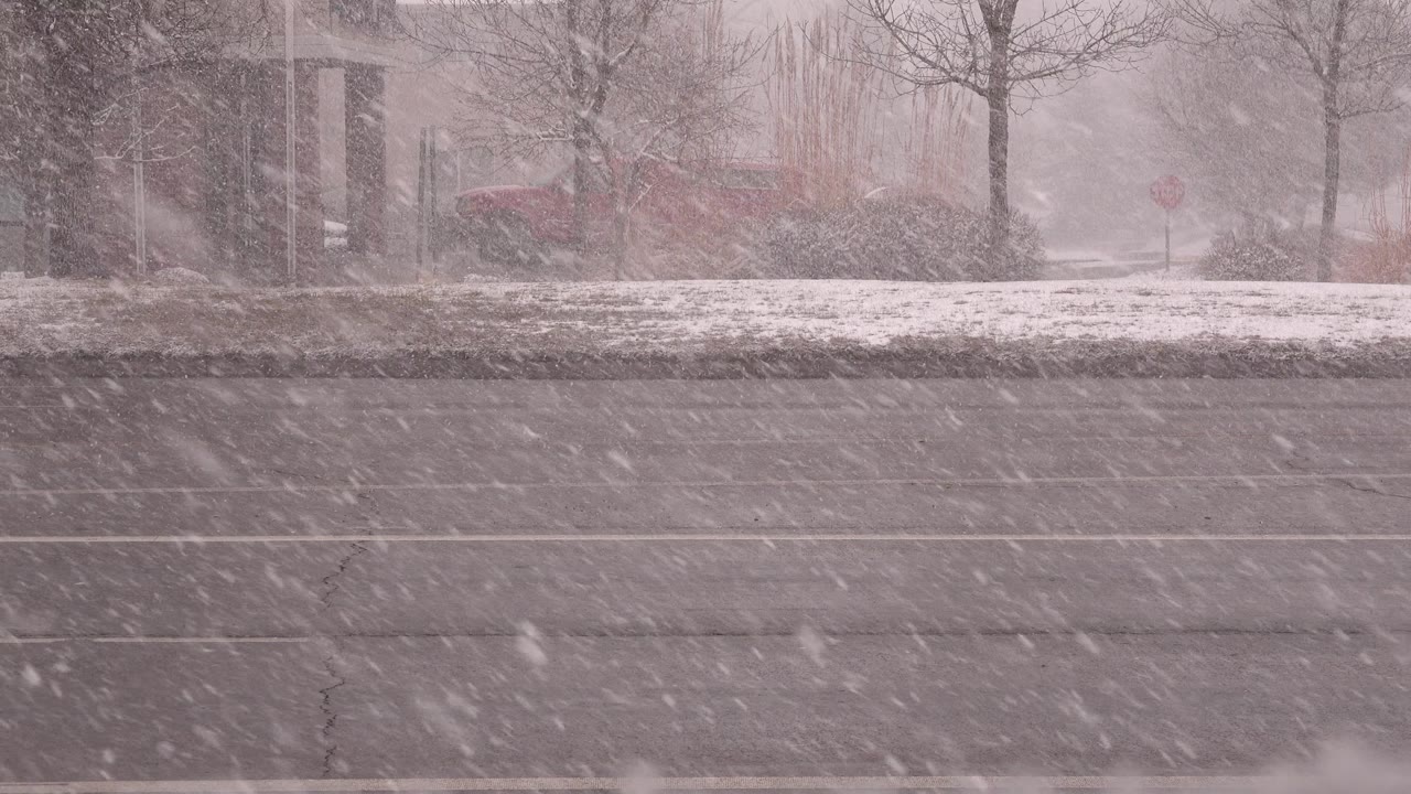 At 0:01, a white van passes across the snowy Westminster, Colorado street while the background trees and roadside stay softened by snowfall, with no visible people.
