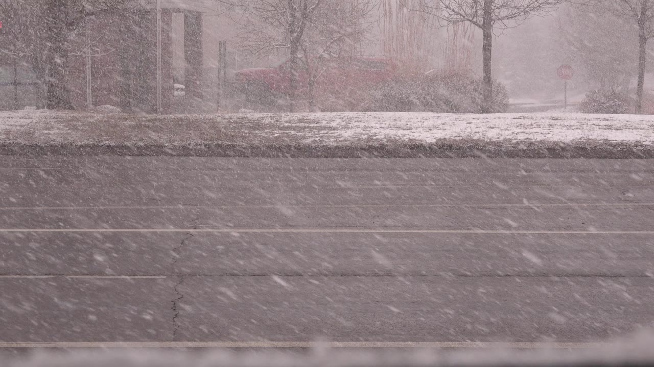 Snow falling over a multi-lane road with trees and buildings beyond