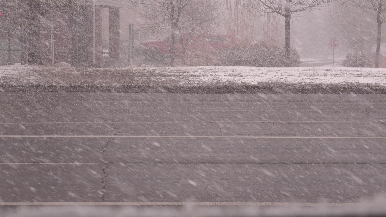 A light-colored car moves along the far side of a snowy Westminster, Colorado road while heavy flakes obscure trees, shrubs, signs, and background buildings, with no visible people.