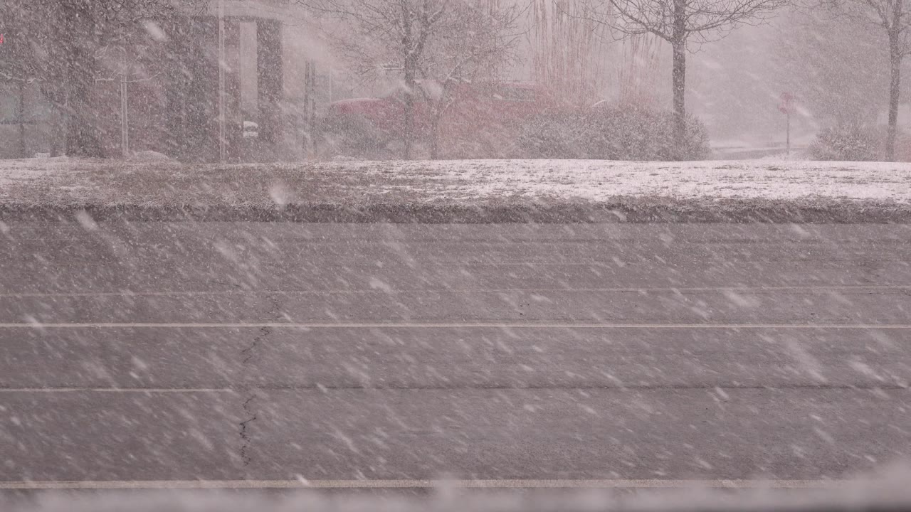 Empty snowy road with bare trees and roadside signs beyond