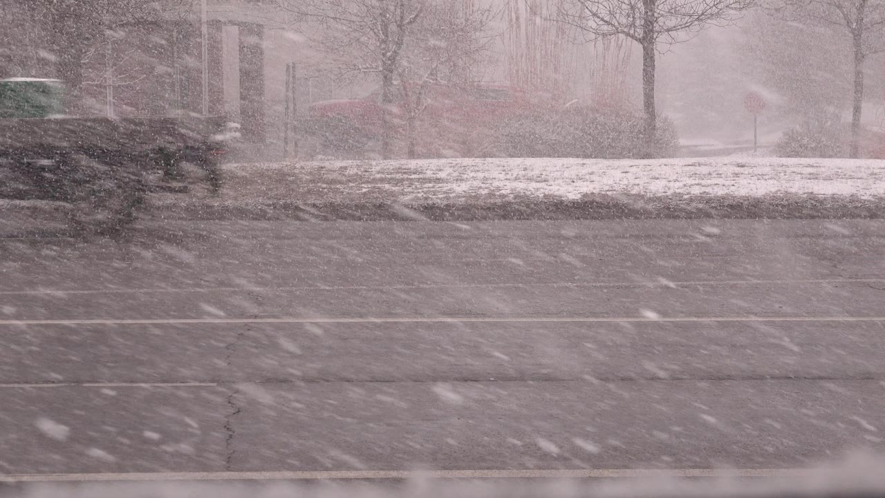At the start of the Westminster, Colorado clip, heavy snow crosses a wet multi-lane road while a partial green vehicle appears at the far left and no visible people are present.