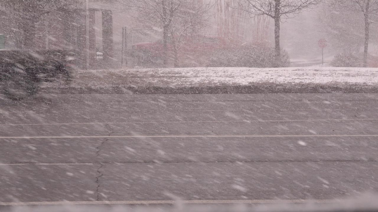 One second in, the Westminster, Colorado road is briefly empty under dense falling snow, with a dark roadside shrub and bare trees visible behind it and no visible people.