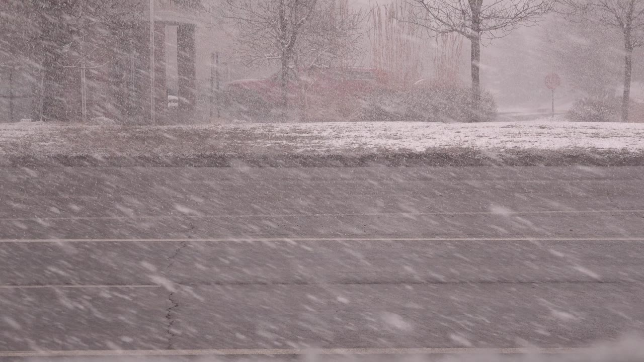Empty snow-covered roadside and wet lanes during heavy snowfall.