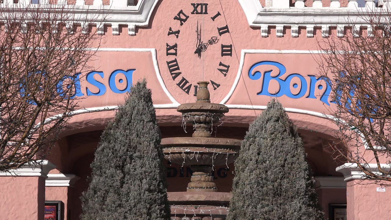 Denver, Colorado frame with the painted clock centered high on the pink facade, bare branches crossing the view, and no visible people.