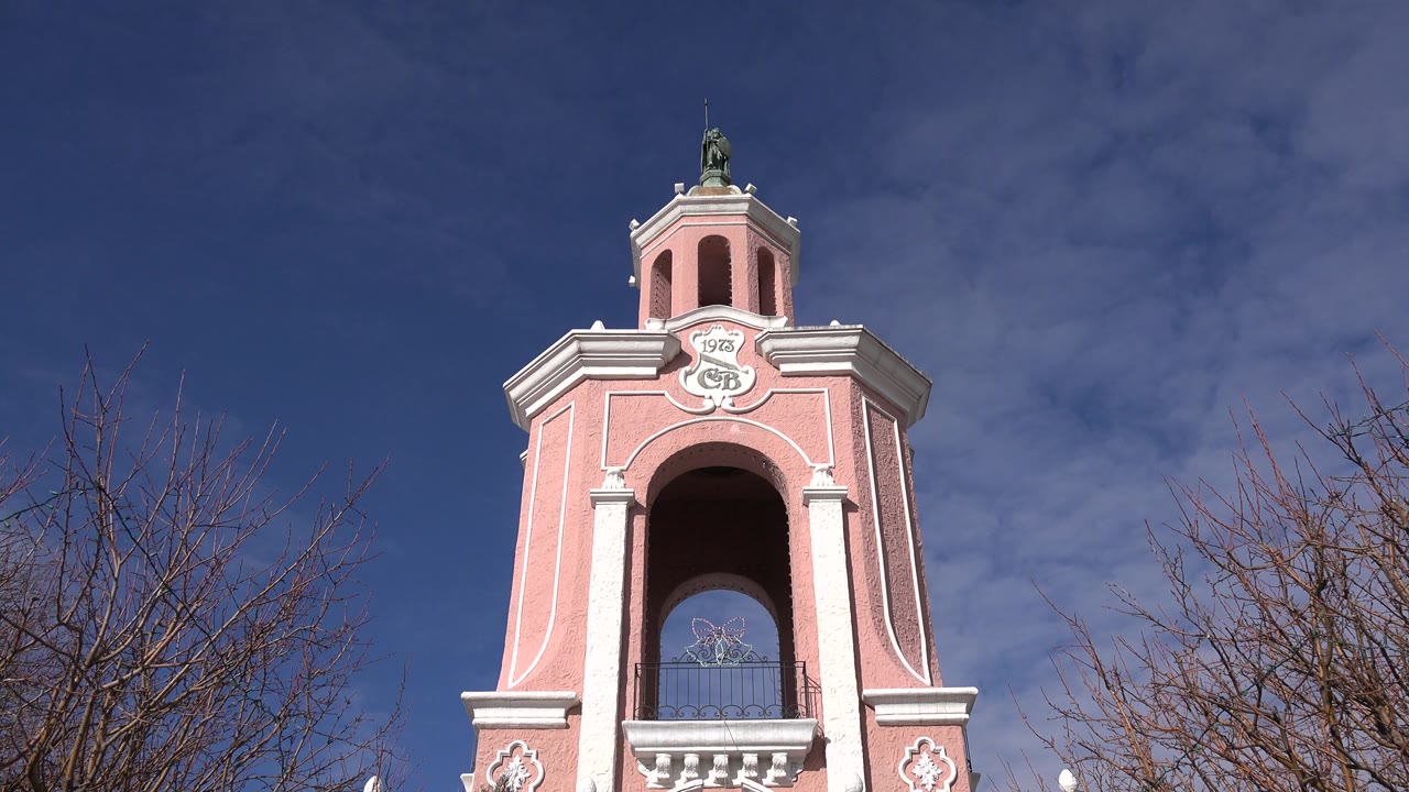 Pink tower top beside bare tree branches