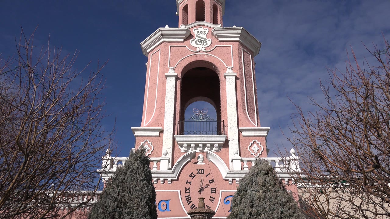 Denver, Colorado frame showing the pink and white clock tower rising behind evergreen trees and bare branches, with a brown bird bath low in the scene and no visible people.