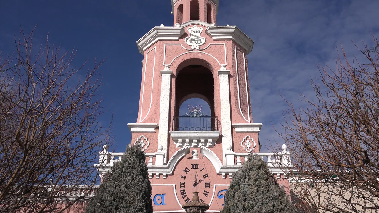 Denver, Colorado frame with the clock tower centered high in the composition, bare tree limbs crossing the right side, evergreen trees below, and no visible people.