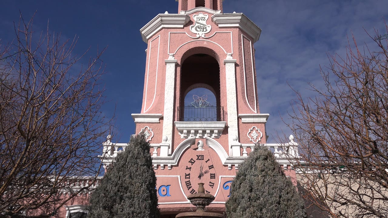 Clock tower and tree branches with bright sun on the facade.