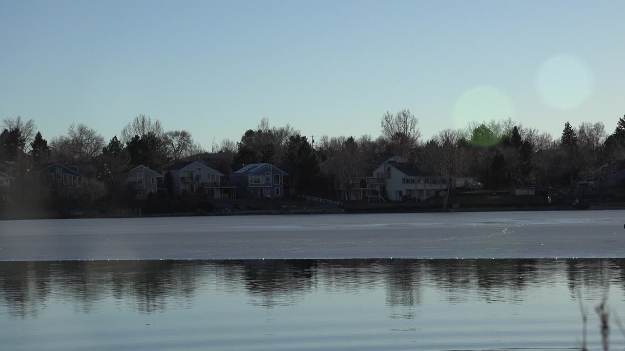 Wide lake view with distant houses, bare trees, reflections, and a small bird over the water.