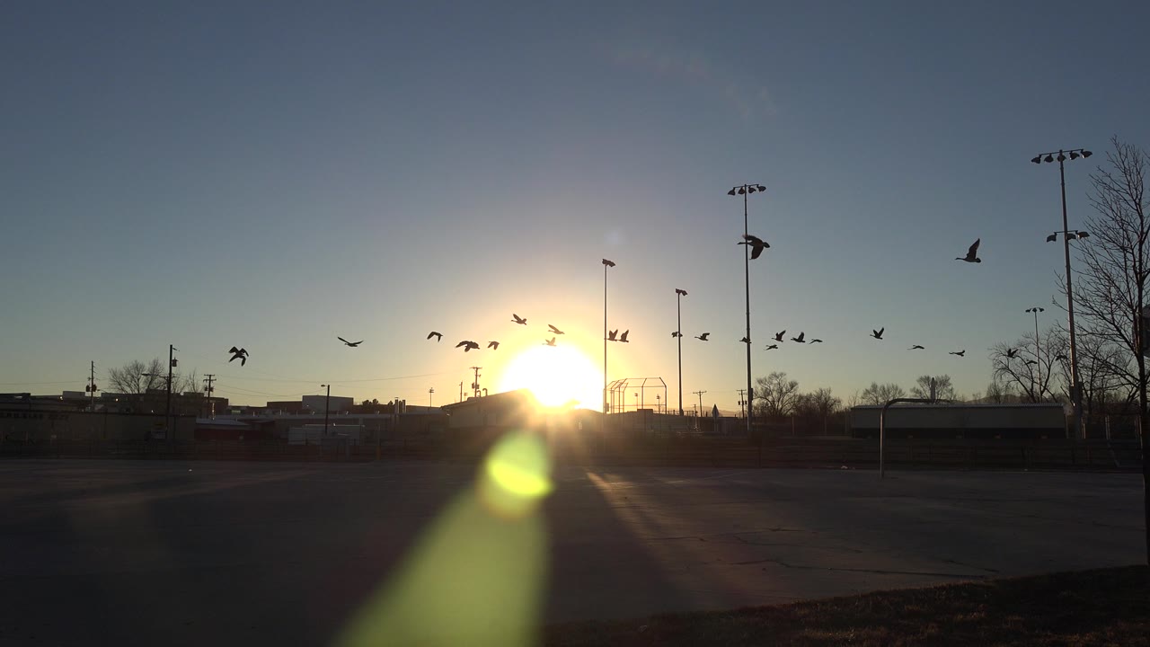 Birds cross the sky near a low sun over dark pavement, light poles, bare trees, and distant structures in Westminster, Colorado, with no visible people.