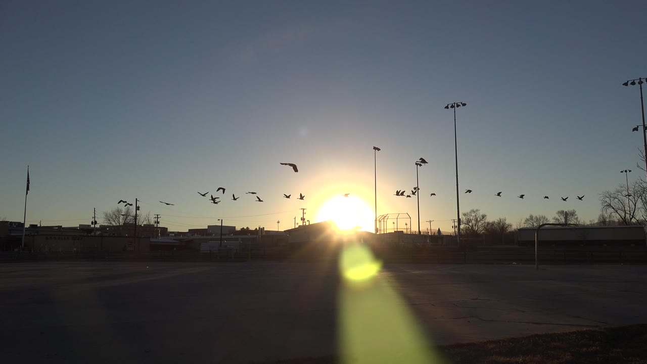 Birds passing through bright sun rays above a paved suburban edge