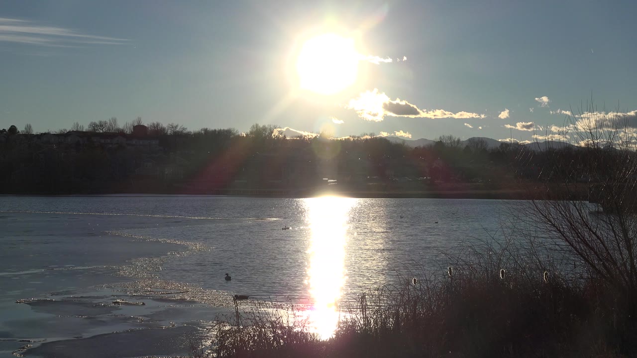 Bright sun reflecting on a lake with dark shoreline trees.