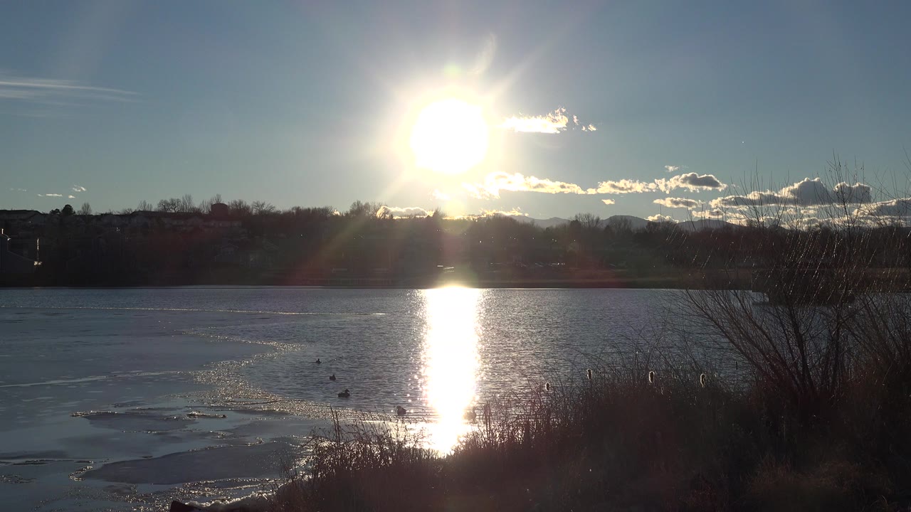 Low sun reflecting on a lake behind foreground brush.