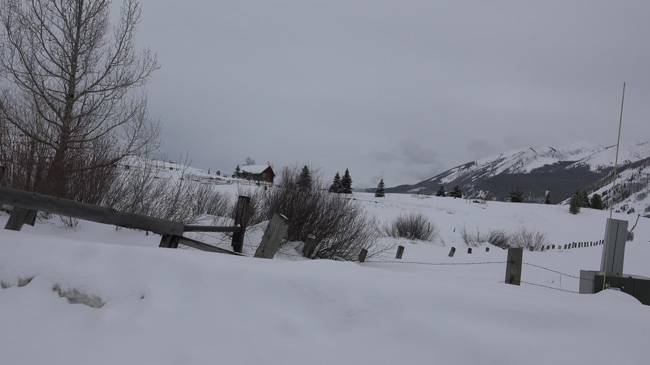Snowy fenced meadow with bare tree and distant mountains.