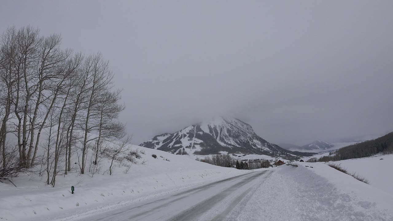 Snowy mountain road with bare trees and overcast sky