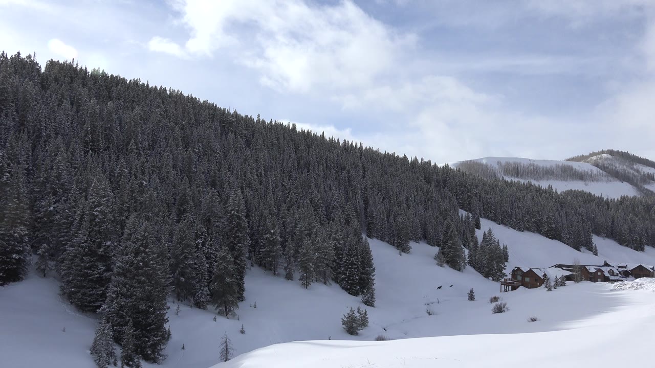 Wide snowy landscape in Crested Butte, Colorado with a dark evergreen hillside on the left, small cabins in the midground, pale ridges in the distance, and no visible people.