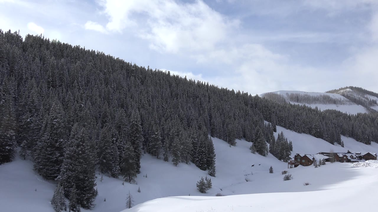 Crested Butte winter view with the evergreen-covered hillside taking more of the left frame, cabins near the center-right, distant snow patches on the mountains, and no visible people.