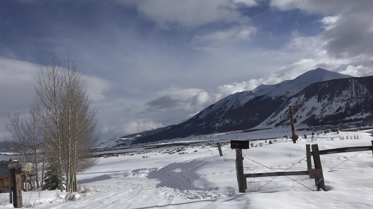 Rural snowy gate with mountain and leafless trees.