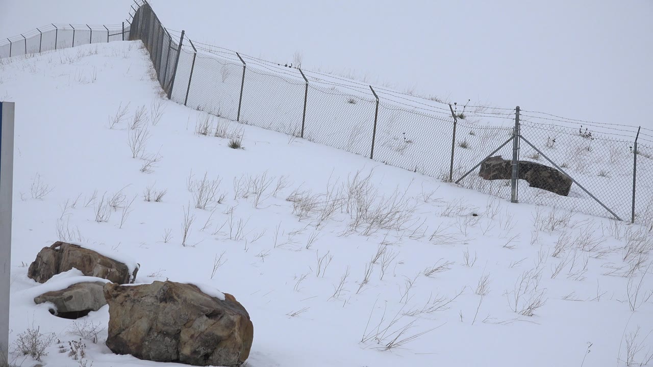 At 0:01 in Arvada, Colorado, the snowy slope remains centered with dark rocks in the lower foreground, fence mesh crossing the upper hill, and no visible people.