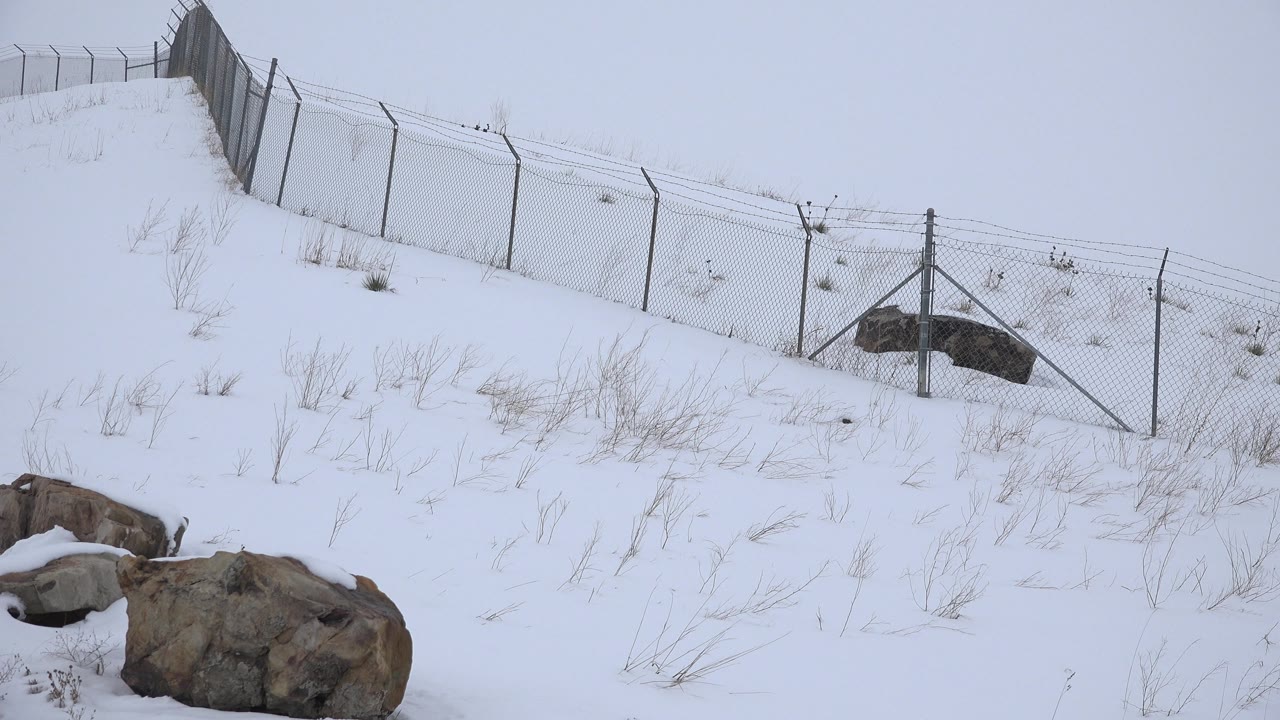Fence line above snowy hill with rocks below