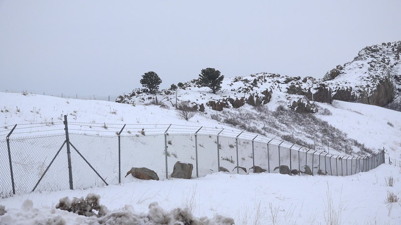 Snow-covered hill divided by a metal fence
