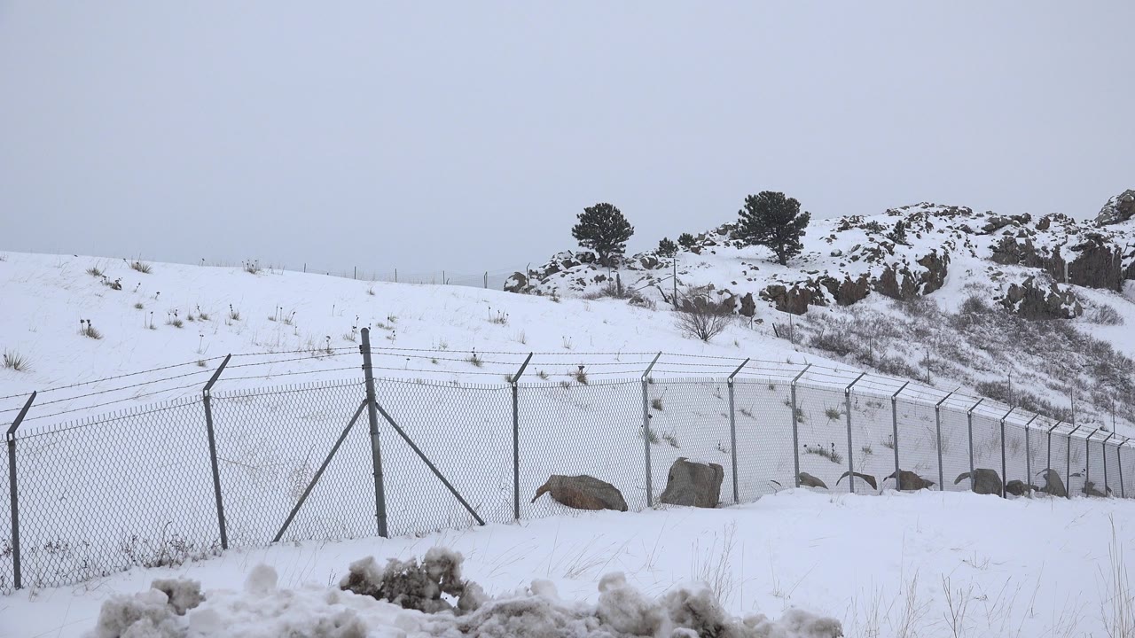 At one second, the Arvada roadside remains covered in snow, with the fence line leading toward rocks, sparse brush, a low hill, and no visible people.