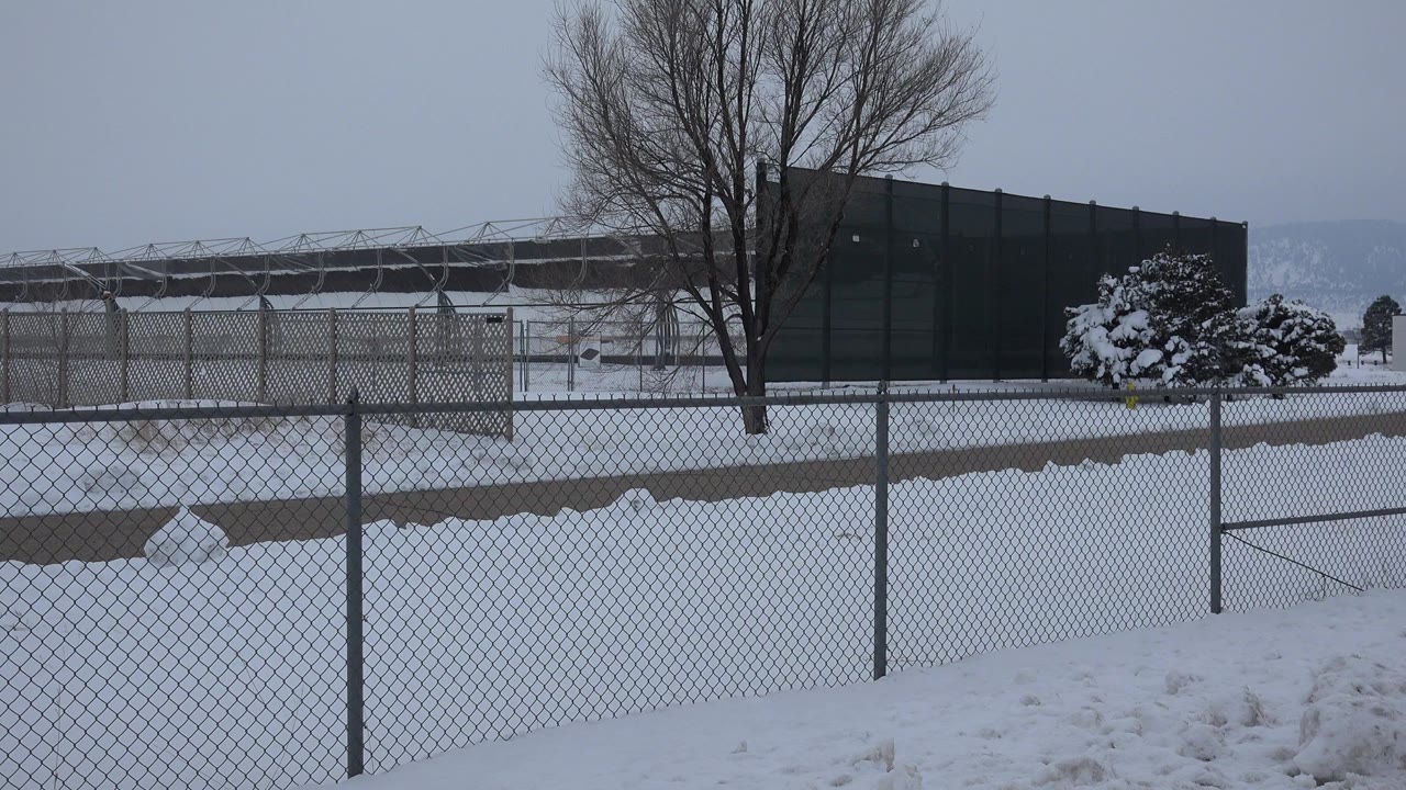 Snowy fenced area with a bare tree and dark building