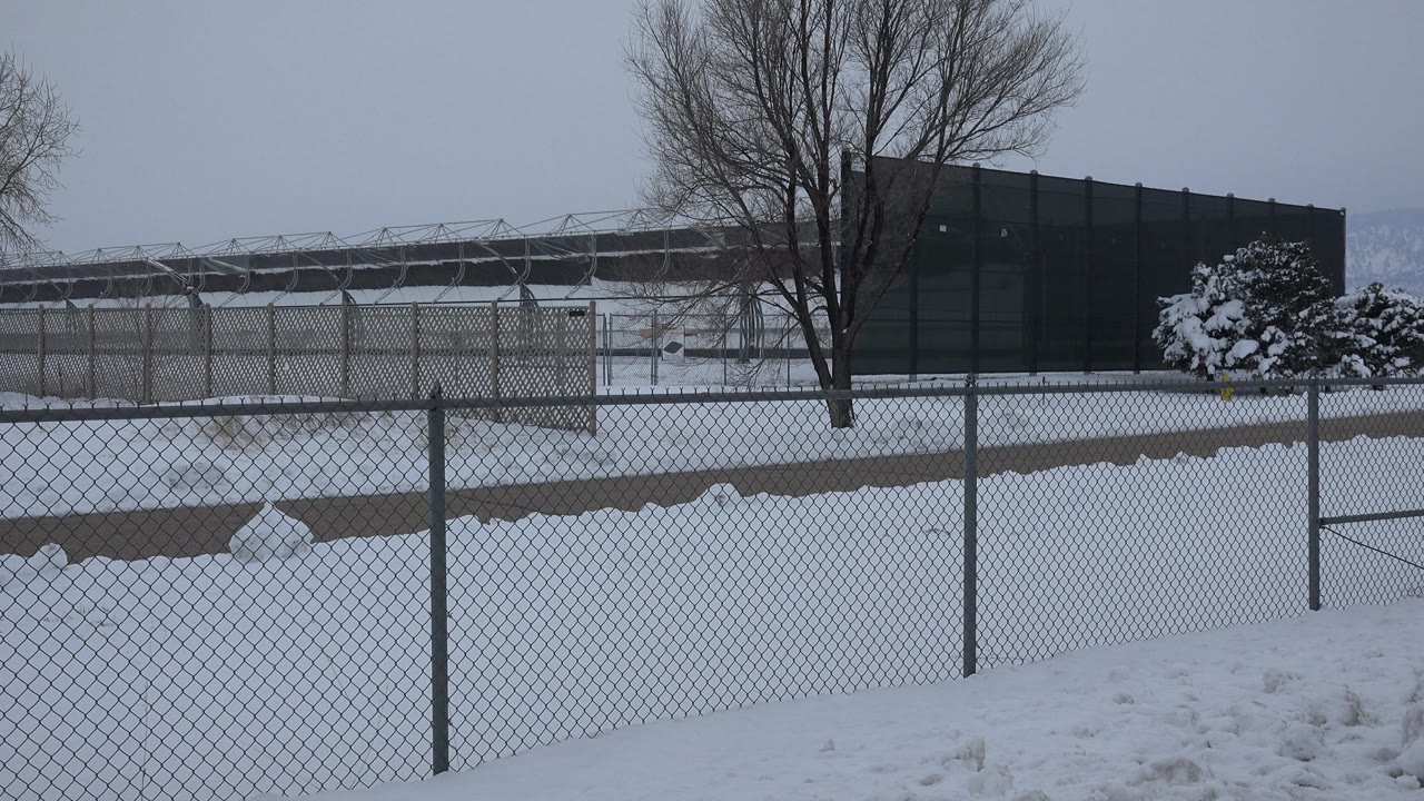 Snowy fenced landscape with shrubs, bare trees, and dark building under gray light.