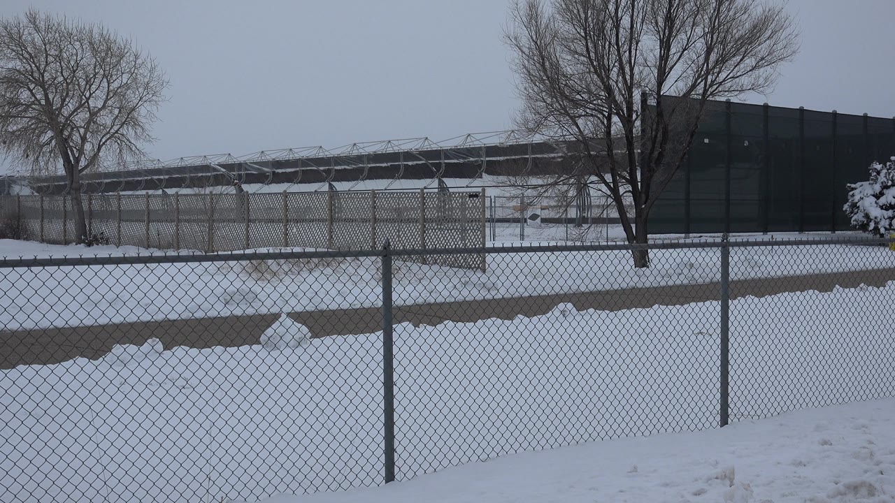 Snow-covered fenced roadside with leafless trees