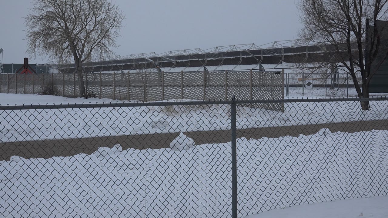 Snowy suburban field with fence, trees, and overcast sky.