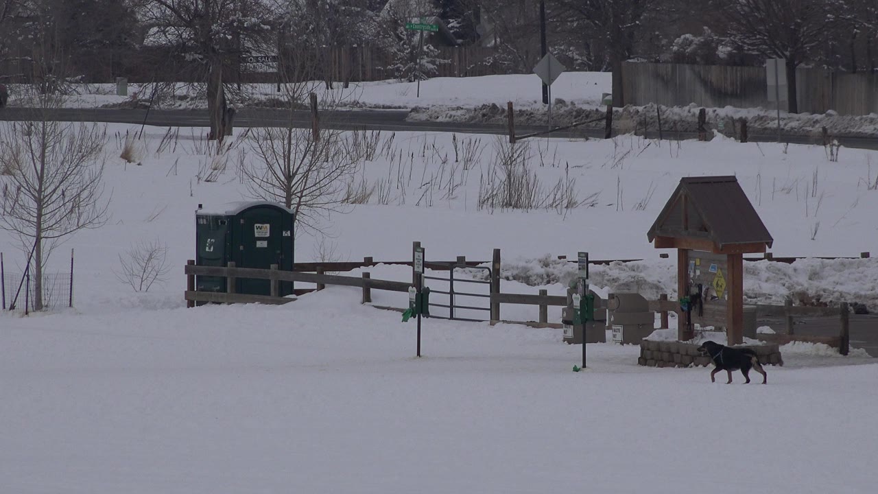 Black dog crossing snow near a wooden park sign and fence