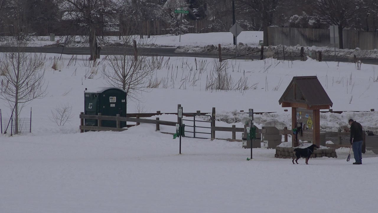 In Arvada, Colorado, the dog moves beside the wooden kiosk as one man stands nearby and the snowy field, fence, portable toilets, and trees remain in the background.