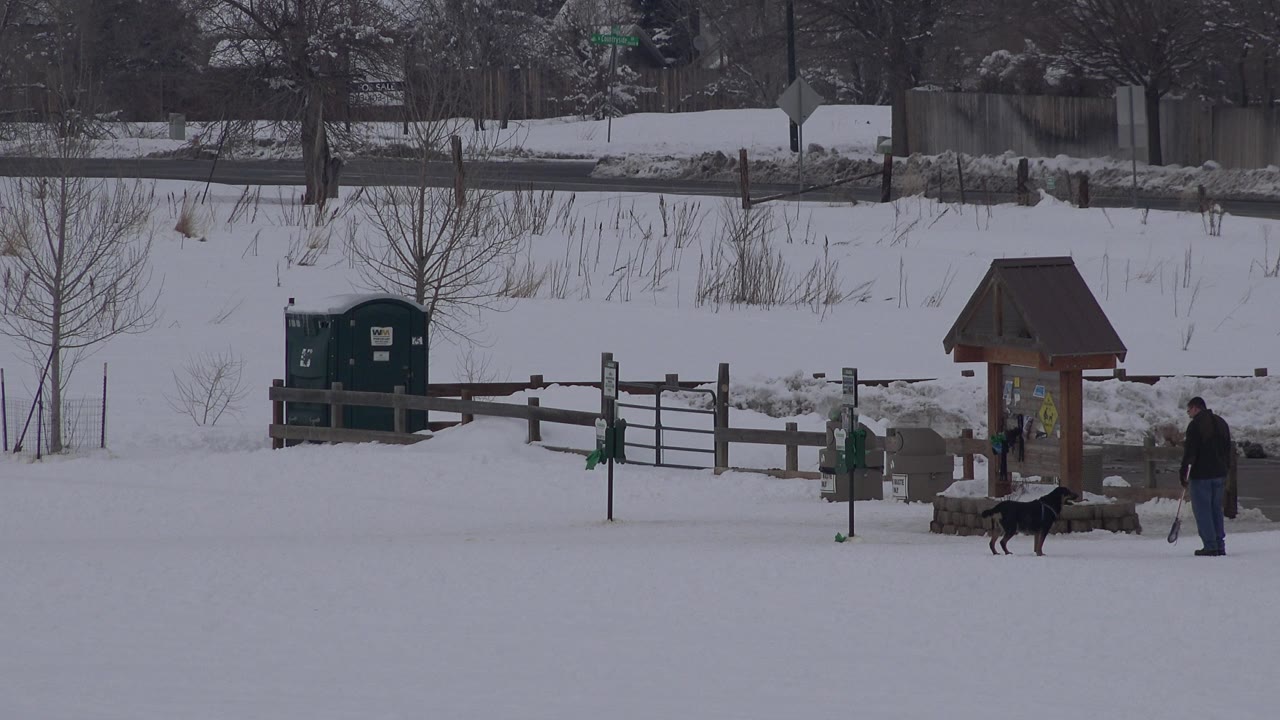 Man and dog beside a wooden kiosk in a snowy open area with roadside background details.