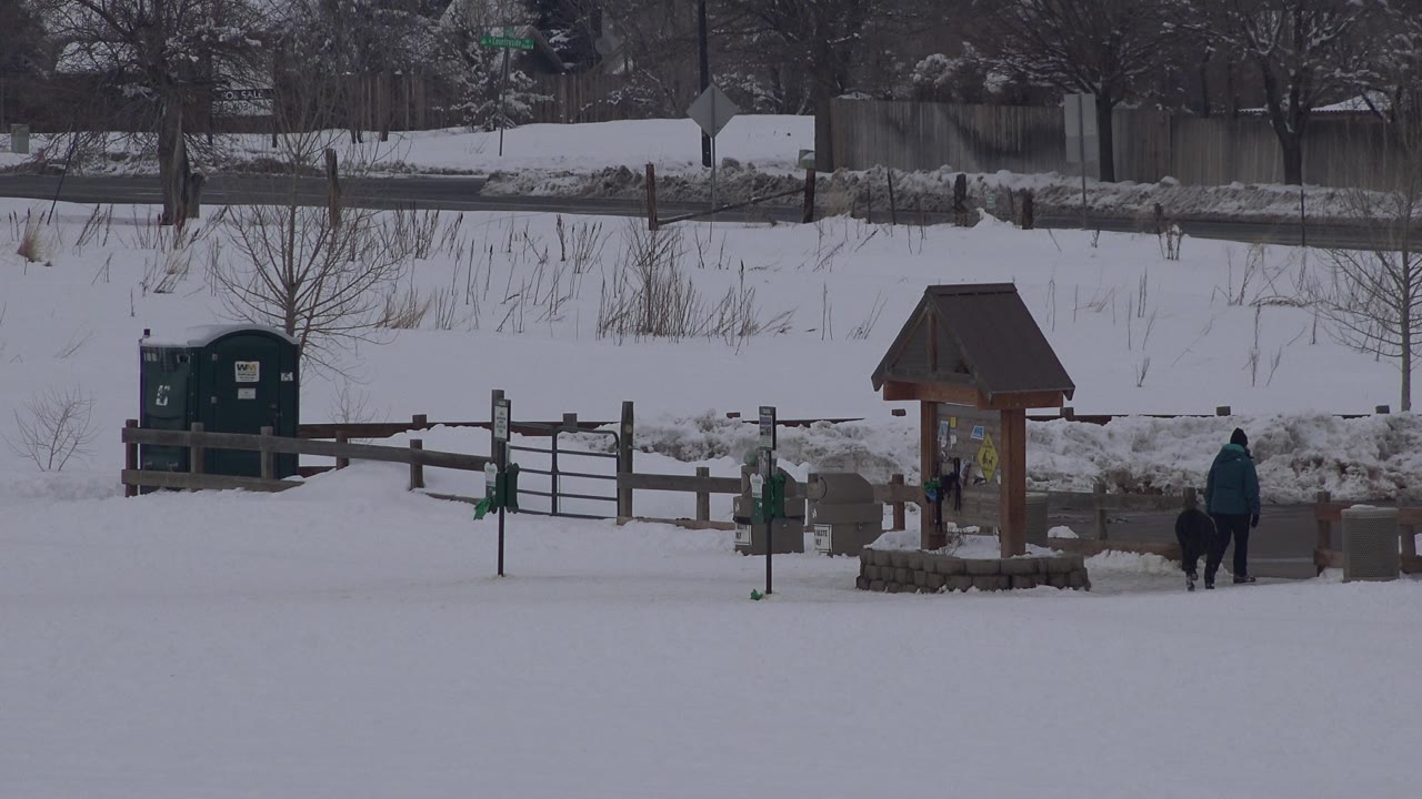 Snowy public path with fence, kiosk, green bins, walker, and dog.