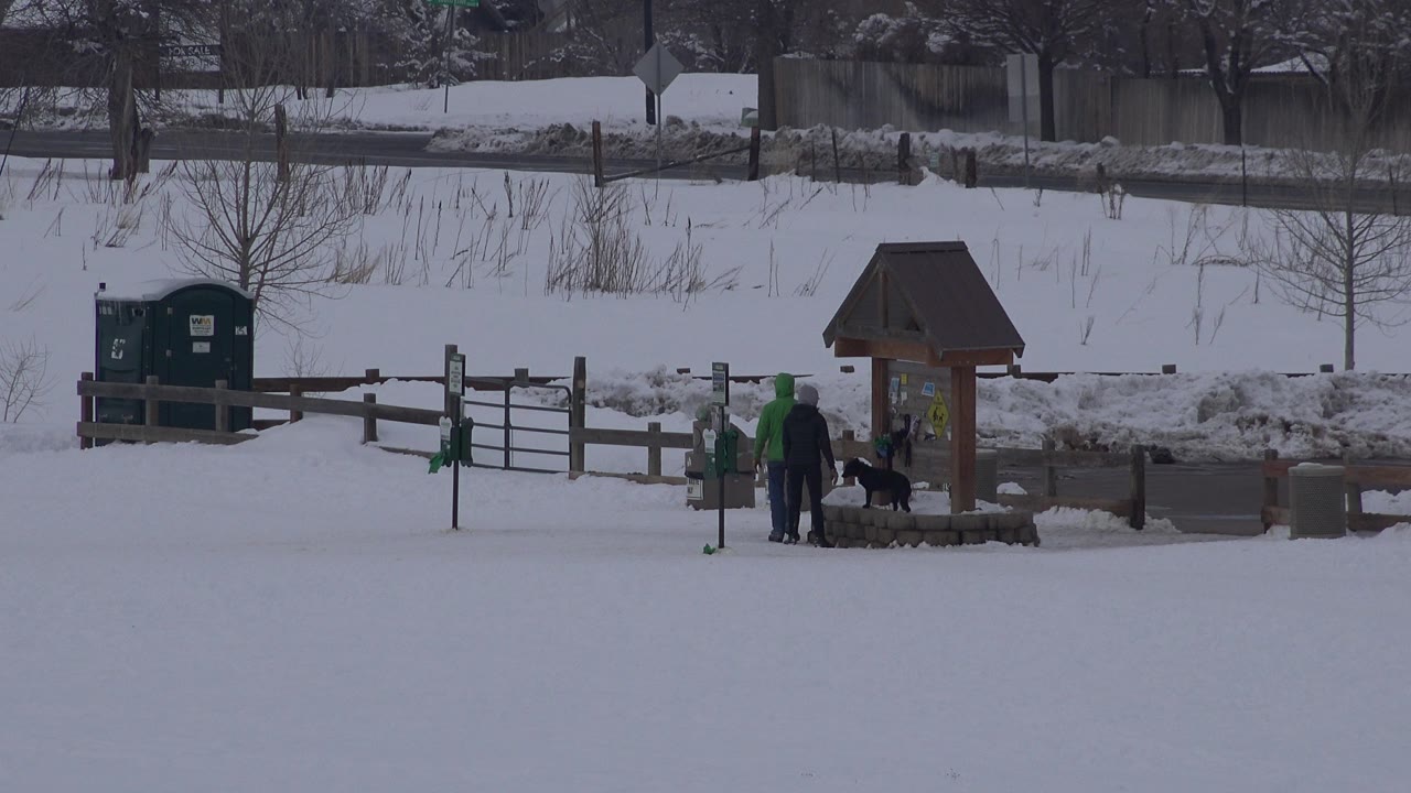 At 0:01, the group remains near the roofed well or sign structure in the snow, with the dog close to the posts and green portable toilets visible beyond the fence.
