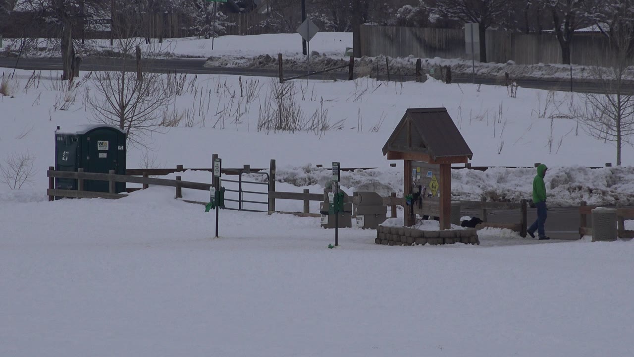 Wide Arvada, Colorado winter frame showing a snowfield, wooden signboard, rail fencing, green bins, a bundled person at right, and a dark dog near the path.