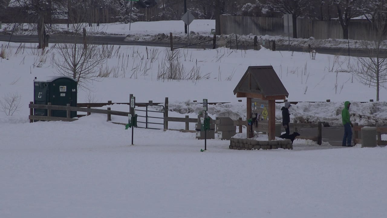 Wide snowy path with the signboard centered, a bundled person at far right, and a dark dog near the curb.