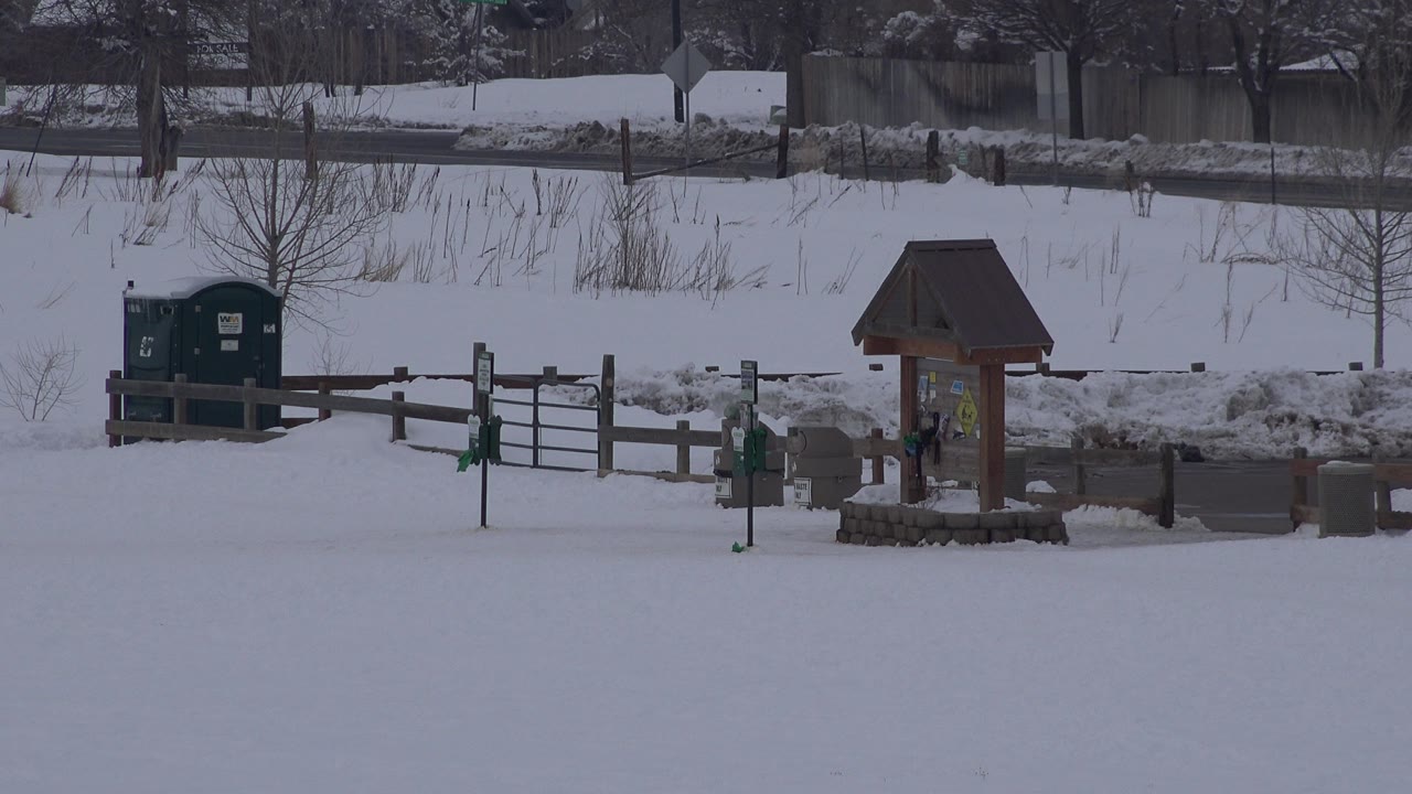 Wide Arvada, Colorado view with the green port-a-potty on the left, a fence line crossing the snow, the roofed signboard on the right, and a road and trees beyond.
