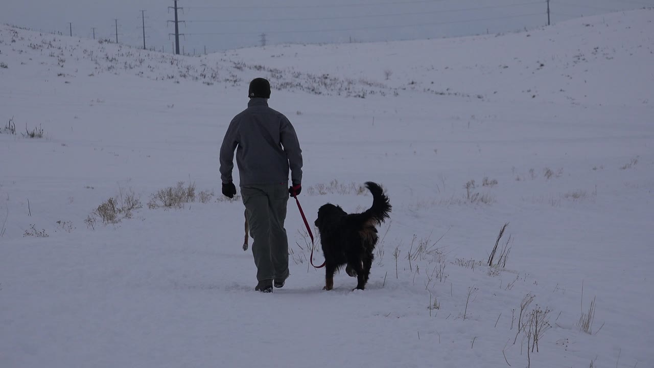Man pauses or slows with a dark dog beside him in snow.