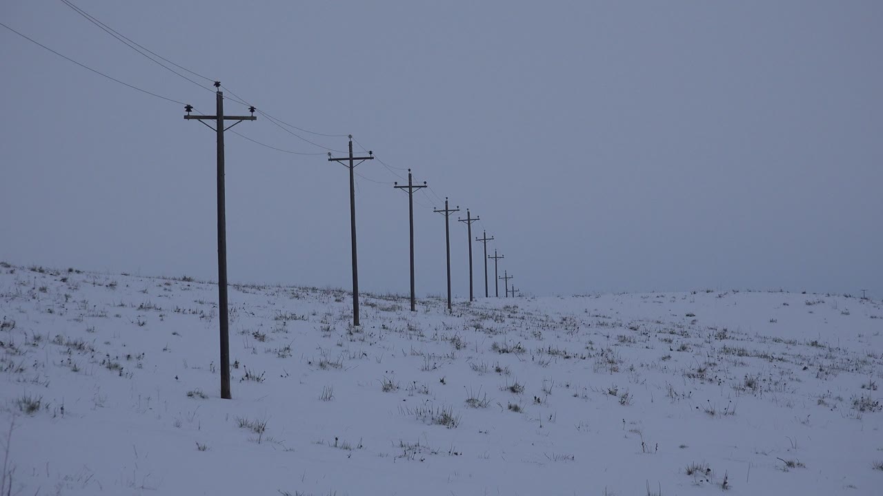 Opening frame of an Arvada, Colorado snowfield with a row of wooden utility poles receding into the distance and no visible people.