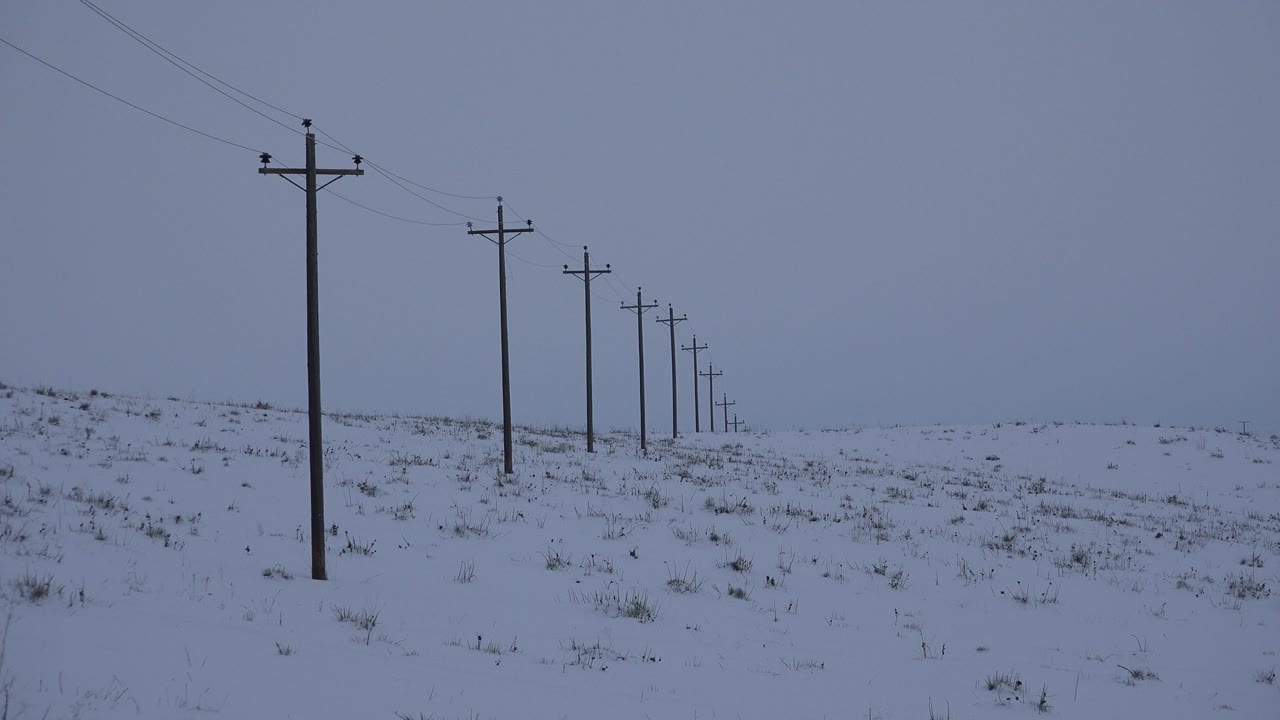 Distant utility poles in a white winter field