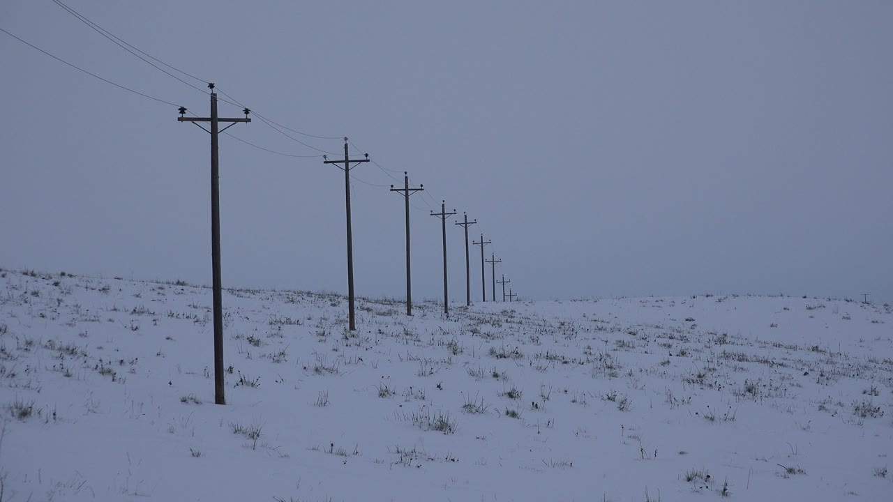 A line of wooden utility poles recedes across a snow-covered field in Arvada, Colorado, beneath a muted gray-blue sky with no visible people.