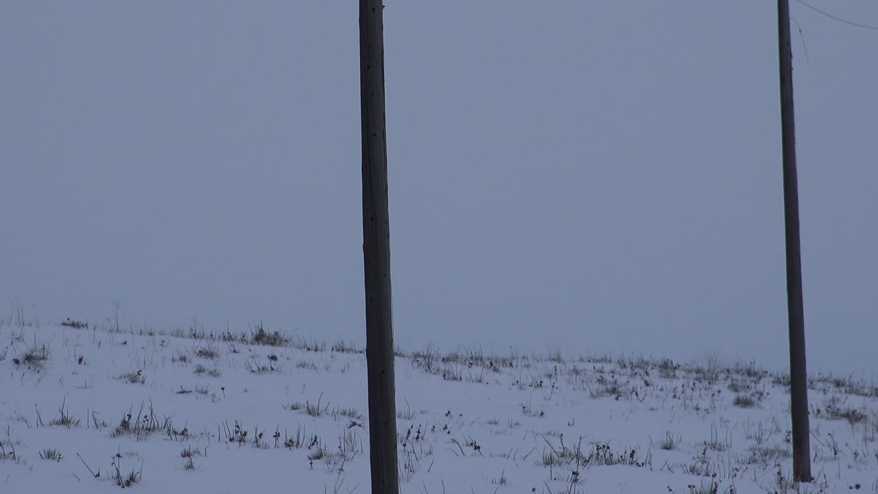 Snow-covered hill with a vertical utility pole and faint overhead wire.