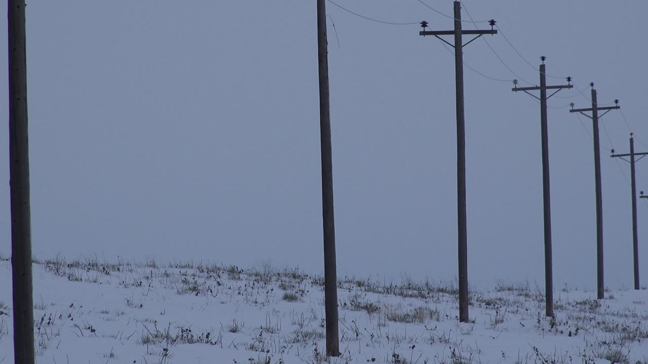The second frame keeps the nearest pole at the left edge while smaller telephone poles step back across the snowy Arvada field, with no visible people.