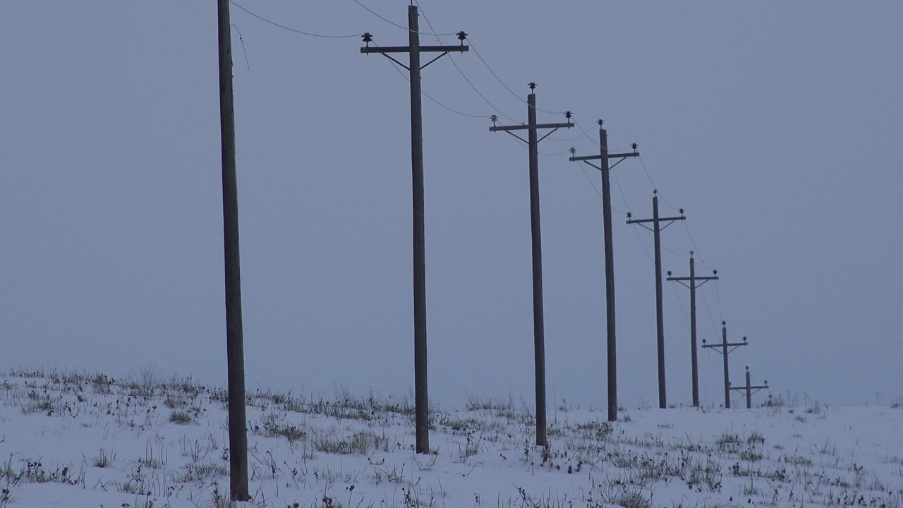 Opening frame in Arvada, Colorado shows dark utility poles receding across snow-covered ground beneath a flat gray-blue sky, with no visible people.